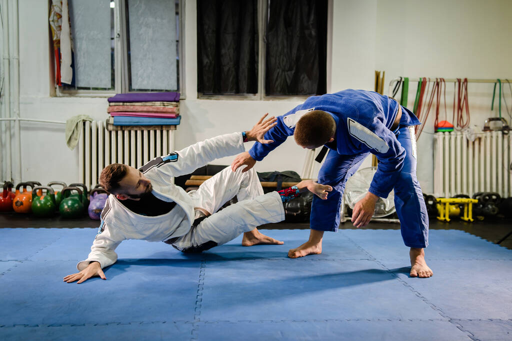 Brazilian Jiu Jitsu BJJ martial arts training
