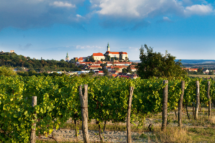 Wine Tasting Adventures: Discovering Mikulov’s Famous Vineyards and Wineries